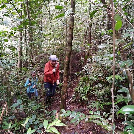Sinharaja Kurulu Ella Eco Resort Deniyaya Esterno foto