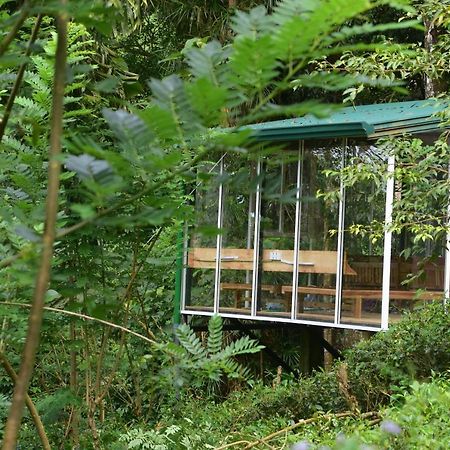 Sinharaja Kurulu Ella Eco Resort Deniyaya Esterno foto
