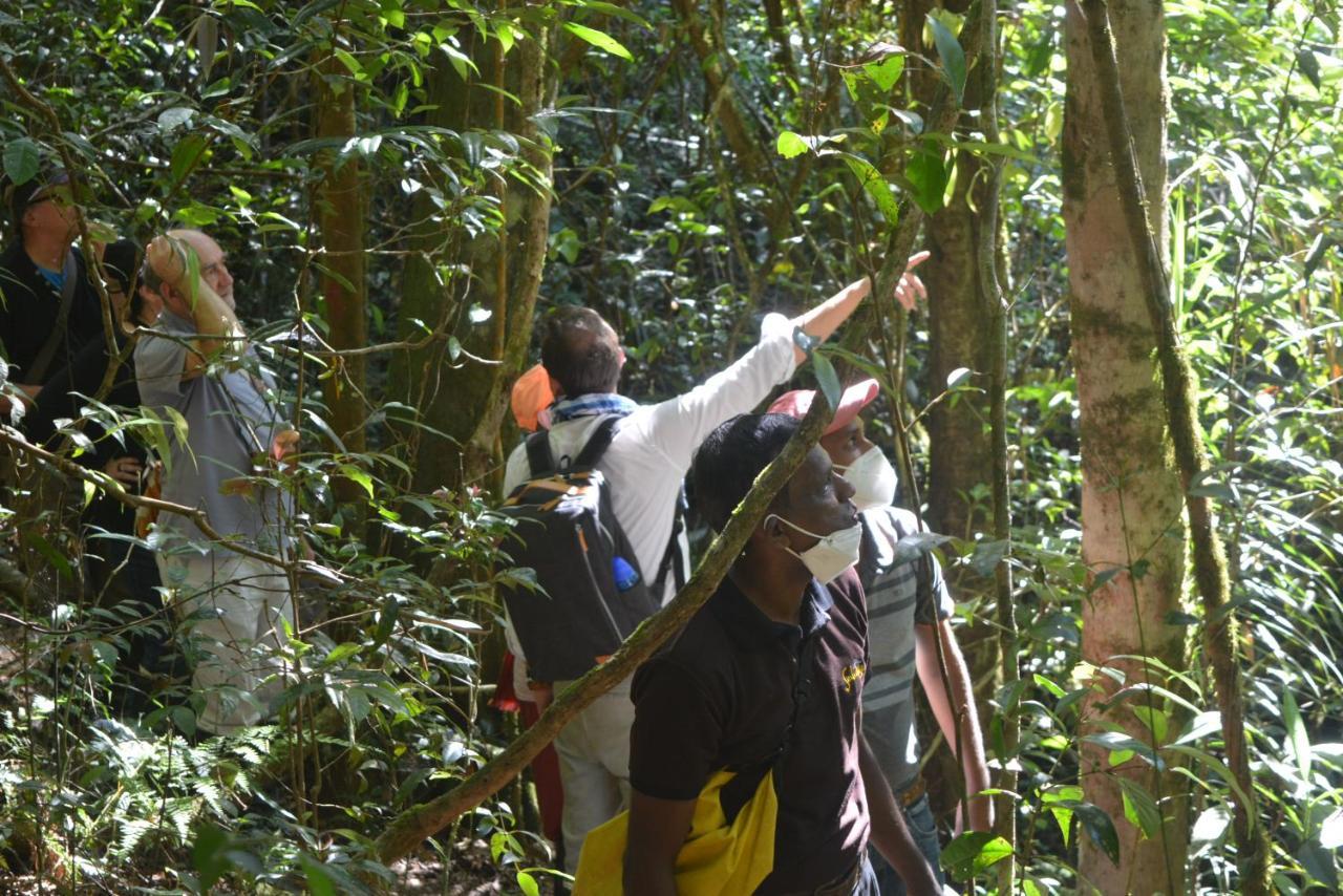 Sinharaja Kurulu Ella Eco Resort Deniyaya Esterno foto