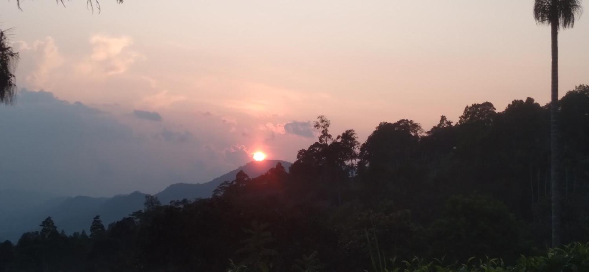 Sinharaja Kurulu Ella Eco Resort Deniyaya Esterno foto
