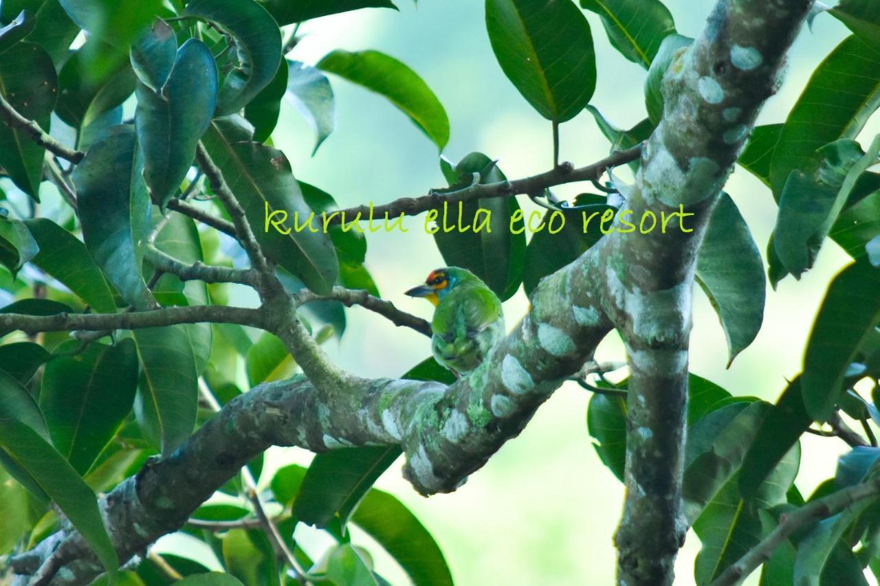 Sinharaja Kurulu Ella Eco Resort Deniyaya Esterno foto