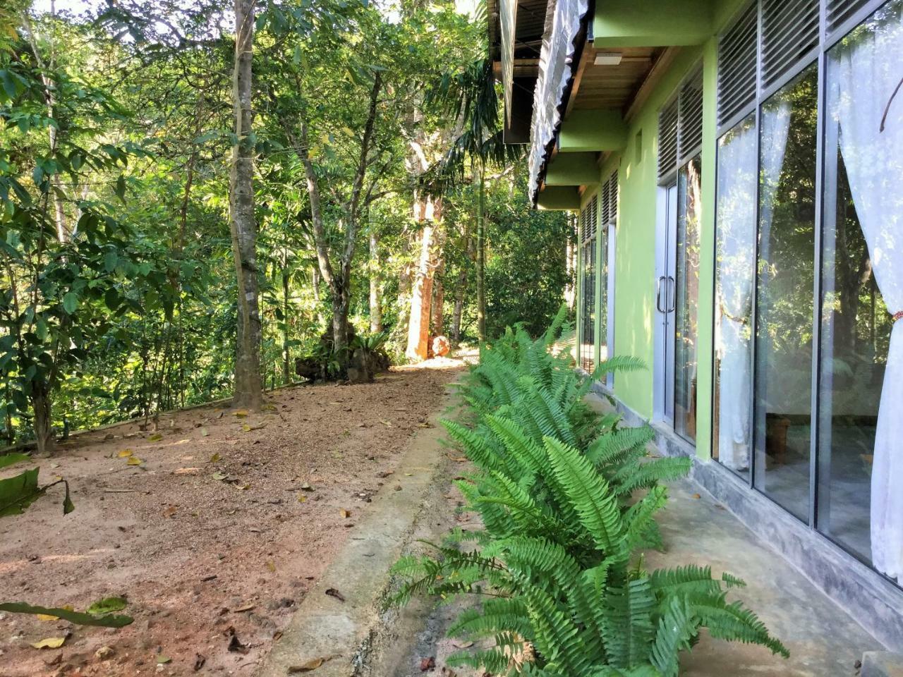 Sinharaja Kurulu Ella Eco Resort Deniyaya Esterno foto
